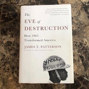 Eve of Destruction : How 1965 Transformed America by James T. Patterson